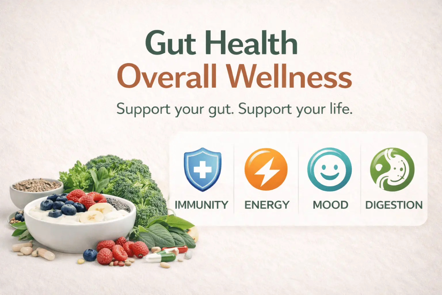 Why Gut Health Is the Foundation of Overall Wellness – VitaHub Pakistan